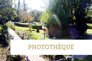 encart-phototheque