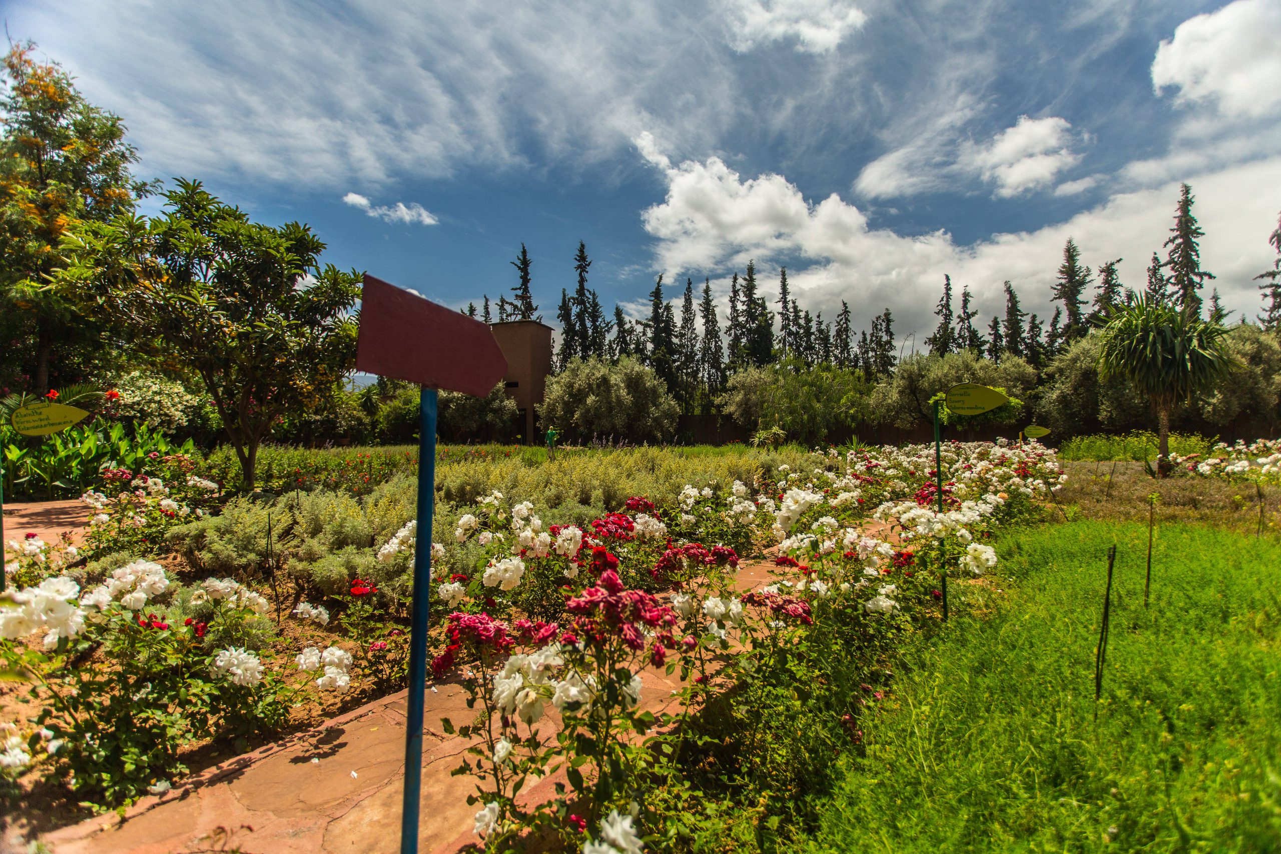 Nectarome – Road to Cop 22 – Green tourism in Marrakesh