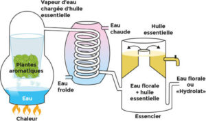 Distillation huiles essentielles