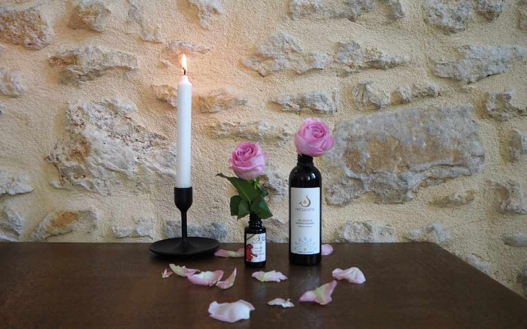 Saint valentin rose